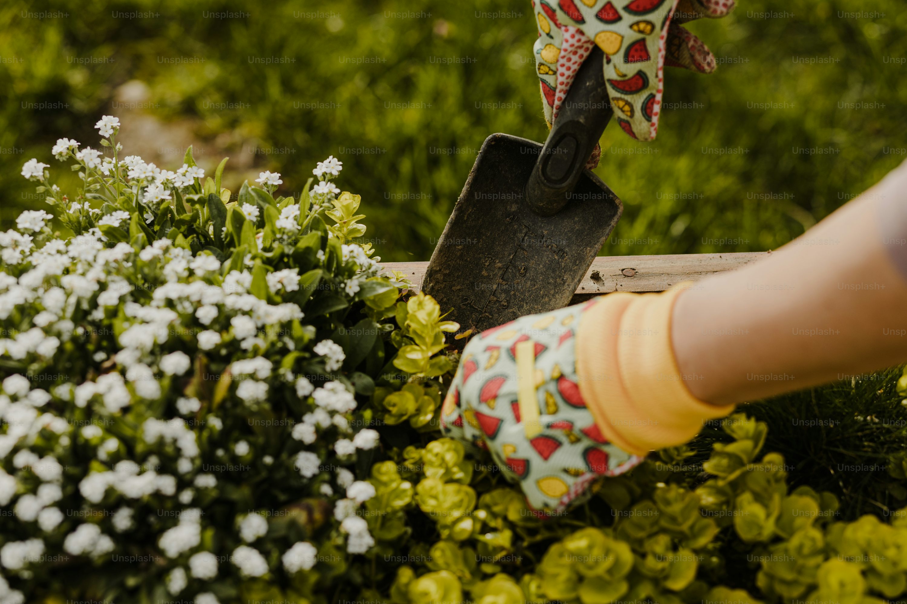 Gardening Services